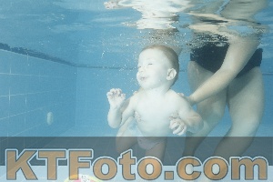 Photo 4305482