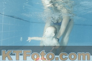 Photo 4305483