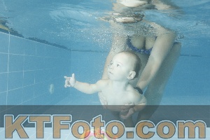 Photo 4305484