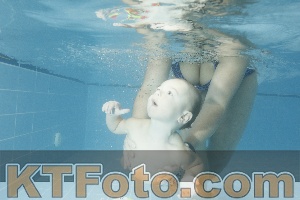 Photo 4305485