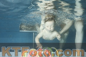 Photo 4305486
