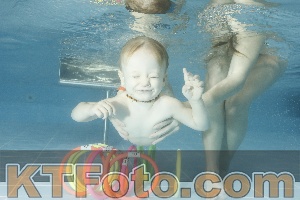 Photo 4305490