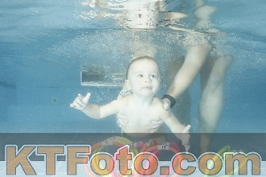 Photo 4305492