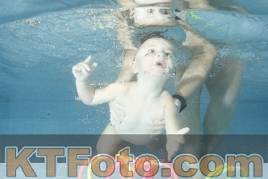 Photo 4305493