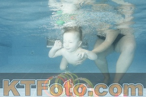 Photo 4305494