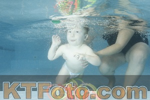 Photo 4305495
