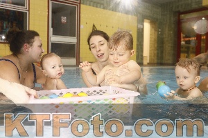 Photo 4305514