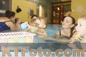 Photo 4305515