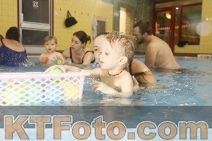 Photo 4305517
