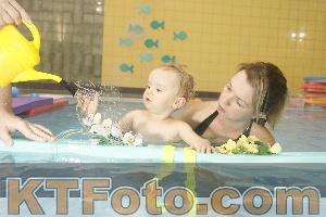 Photo 4305653