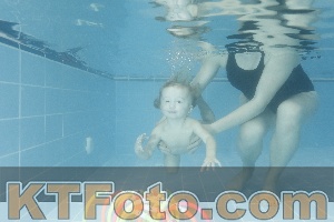 Photo 4305715