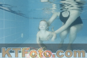 Photo 4305716