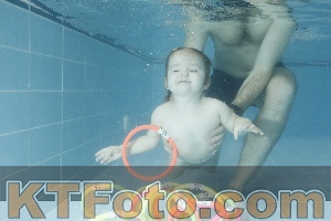 Photo 4305724