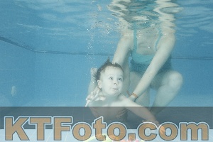 Photo 4305726