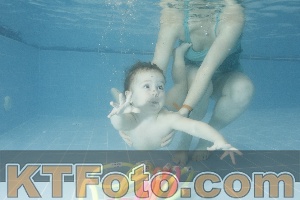 Photo 4305727