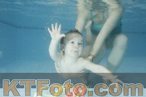 Photo 4305728