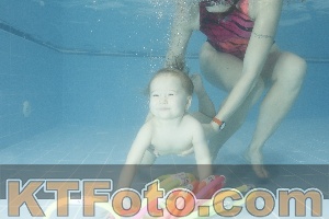 Photo 4305729