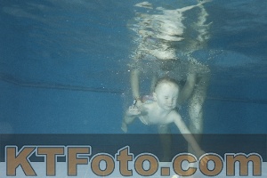 Photo 4305732