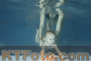 Photo 4305734