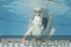 Photo 4305741