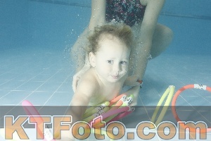 Photo 4305743