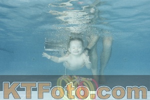 Photo 4305745