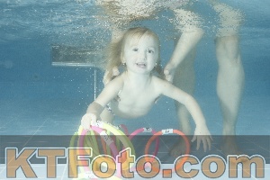 Photo 4305750