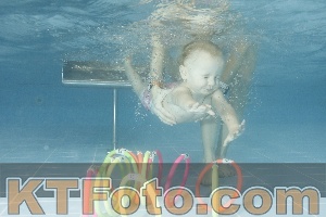 Photo 4305752
