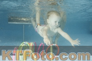 Photo 4305753
