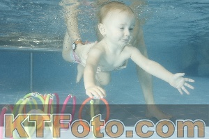 Photo 4305754