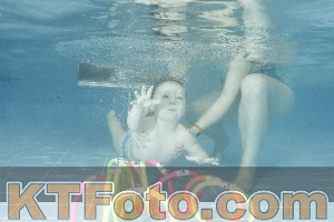 Photo 4305755