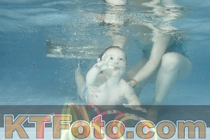 Photo 4305756