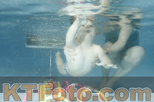 Photo 4305757