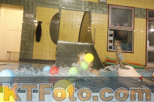 Photo 4305762