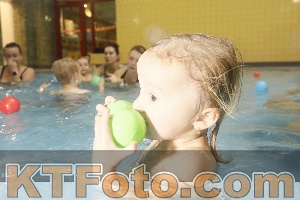 Photo 4305793