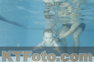 Photo 4306001