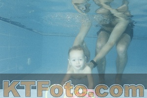 Photo 4306002