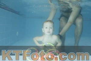 Photo 4306003