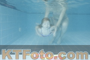 Photo 4306013