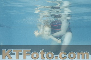 Photo 4306029