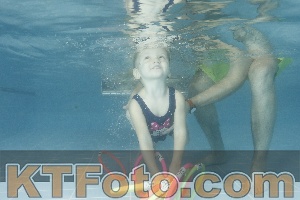 Photo 4306035