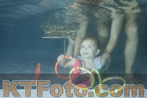 Photo 4306038