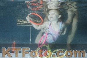 Photo 4306039