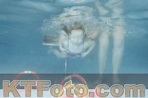 Photo 4306042