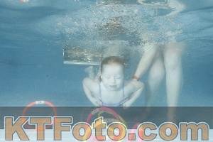 Photo 4306043