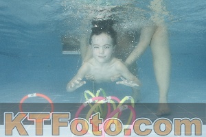 Photo 4306046