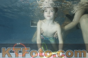 Photo 4306048