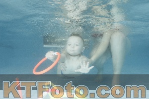 Photo 4306049