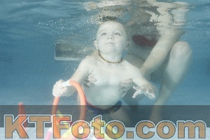 Photo 4306051
