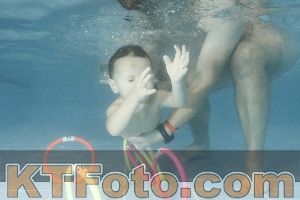 Photo 4306053